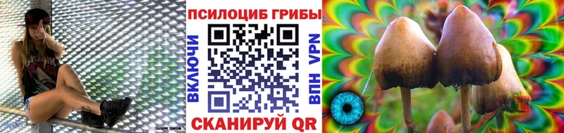 Псилоцибиновые грибы ЛСД  наркотики  Саранск 