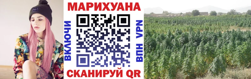 Бошки марихуана SATIVA & INDICA  где найти наркотики  Саранск 